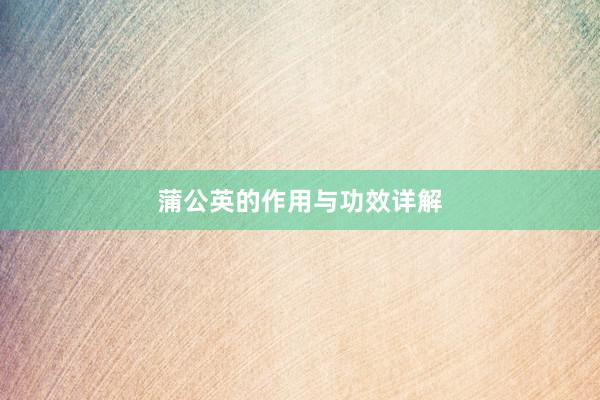 蒲公英的作用与功效详解