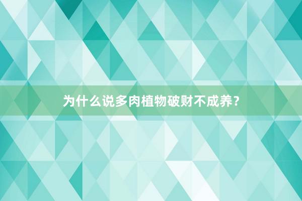为什么说多肉植物破财不成养？
